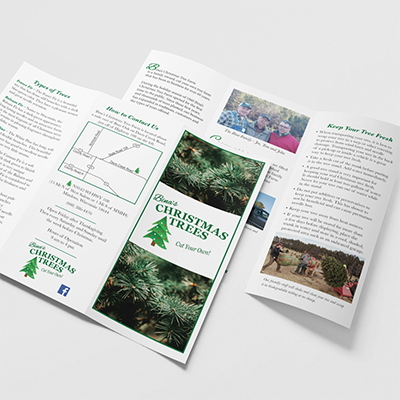 A brochure for a Christmas tree farm on a table